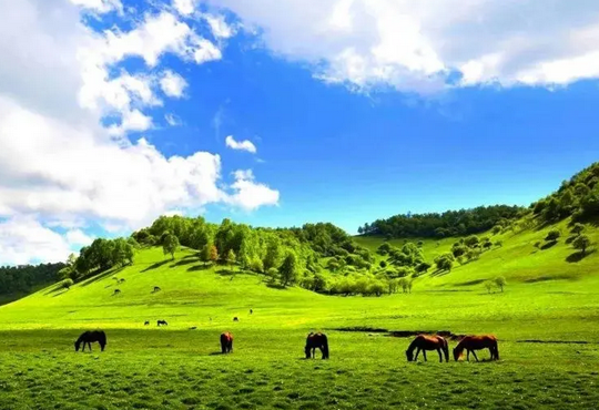 寶雞網(wǎng)站設(shè)計素材_寶雞網(wǎng)頁設(shè)計素材-【云浪科技】