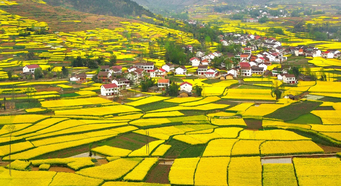 微信截圖_20220914082620.png