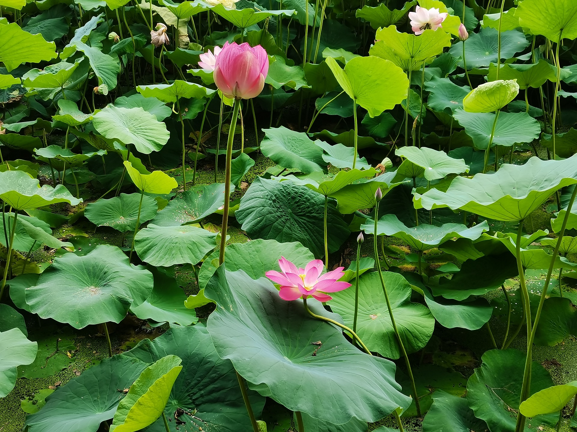 點擊了解