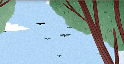 中合態(tài)數(shù)據(jù)橫TP.png