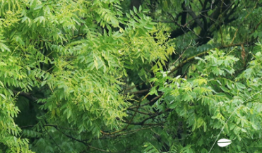 網(wǎng)站制作前需要開發(fā)公司溝通準(zhǔn)備哪些?(圖1) 微信截圖_20230210210229.png
