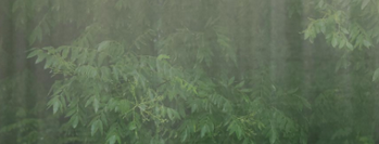 微信截圖_20230223060107.png