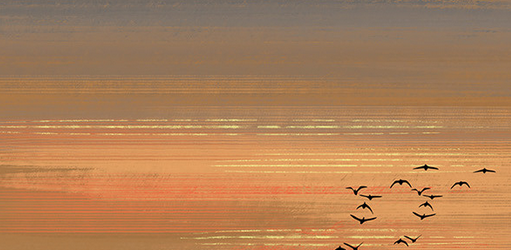 微信截圖_20230320081623.png
