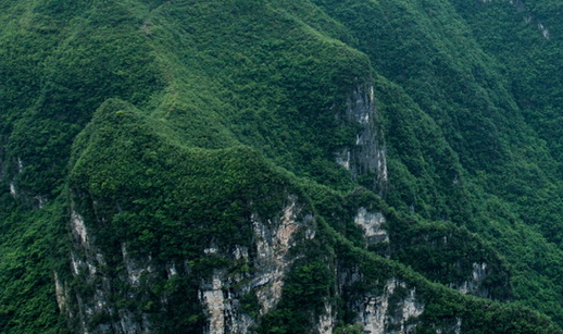 微信截圖_20230712075144.png